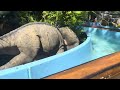 Jon Coogan Rides The Little Dipper At Adventureland In Farmingdale New York 2024 Edition
