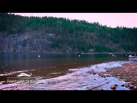 8927 Swanshore Road, Swansea Point, BC, Canada - Online Auction Nov 10th - 12th, 2020