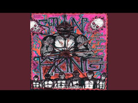 Wir machen Stress (feat. Pakkal78 & Body098)