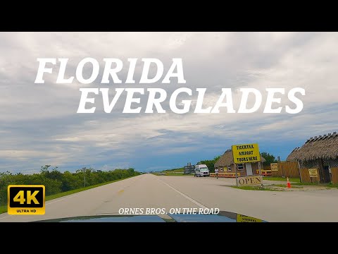 Tamiami Trail (US-41) | Driving Across the Everglades!