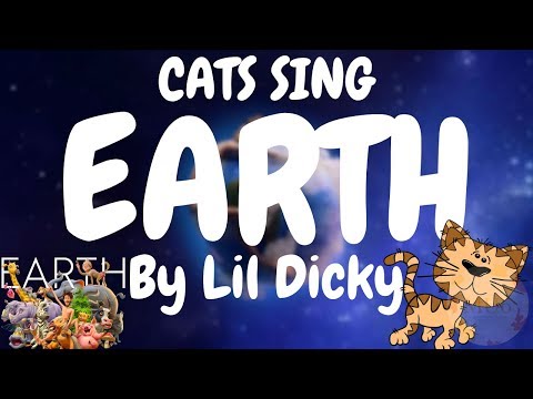 Cats Sing Earth by Lil Dicky | Cats Singing Song