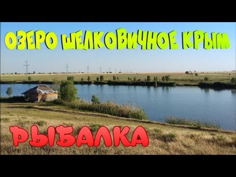 Шелковичное Крым рыбалка . Шелковичное Крым.