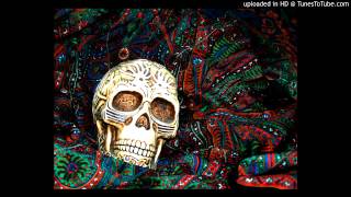 muslimgauze - bengali light