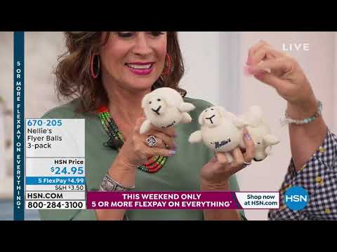 HSN | Home Solutions featuring Nellie's 08.17.2019 - 09 AM