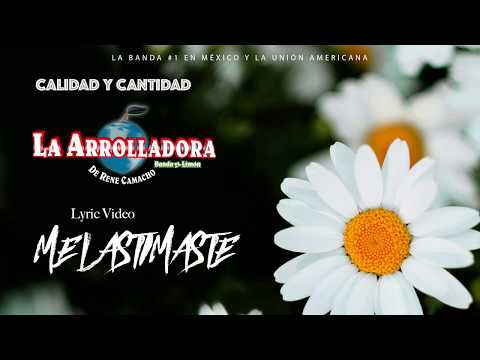 Me Lastimaste - La Arrolladora Banda El Limon De Rene Camacho