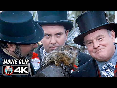 Phil Sees His Shadow Scene | GROUNDHOG DAY (1993) Movie CLIP 4K