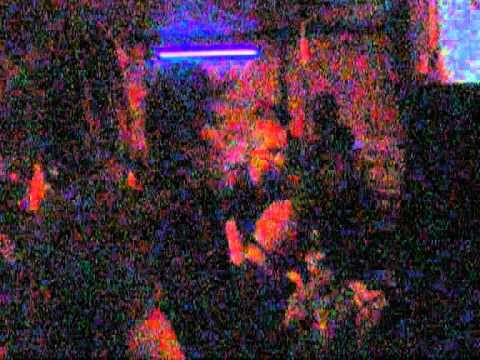 eargasm - bomb the bass - dj trauma.mpg