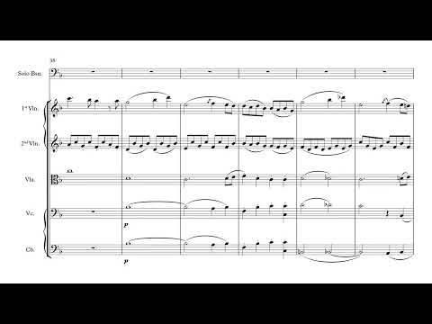 Hummel, Johann N. - Bassoon Concerto movement 1 - accompaniment arr. Glynn Davies for Strings