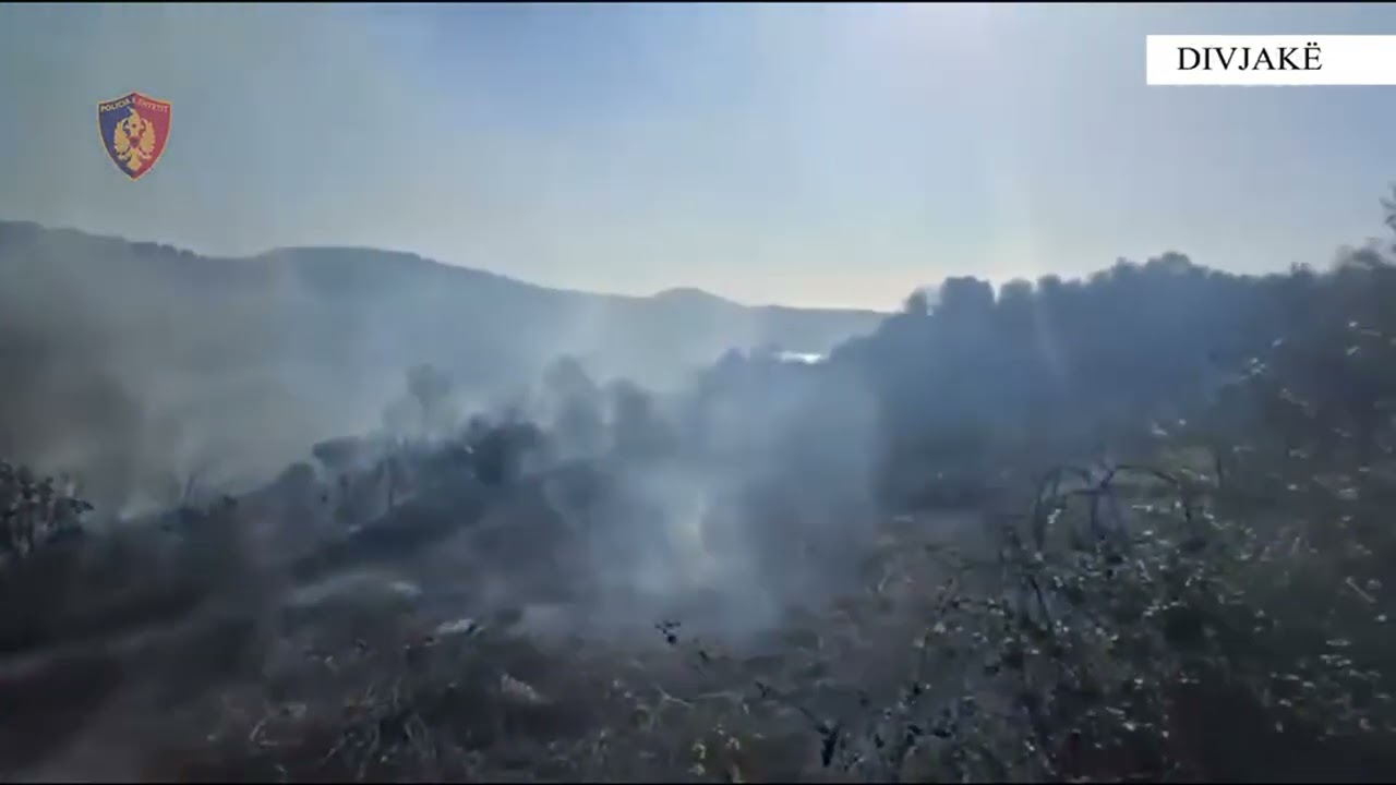 Rrezikoi Parkun e Divjakës, kapet pranë vatrës së zjarrit 29-vjeçari i dyshuar