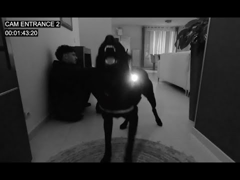 Video thumbnail for FOREVER