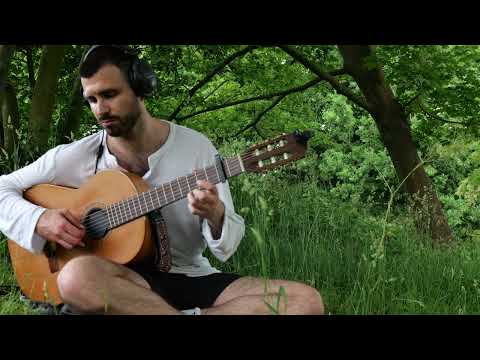 Vraell - Guitar Meditations - No.13 (1 hour)