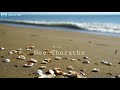 Nee Kannodu Kannodu Kannoram Tamil Love Whatsapp Status Sid Sriram Gscreation