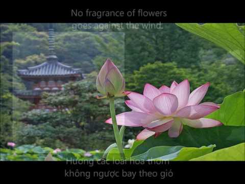 Hương đức hạnh Sheet - Bảo Yến