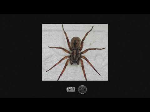 [SOLD] Mad Clip x Strat Type Beat ~ "Payroll"