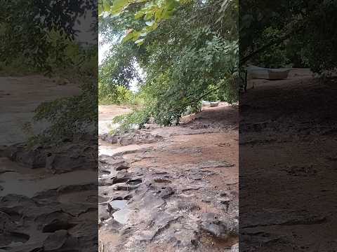 15/01/26, Rochedo, MS.#matogrossodosul #turismo #viagem #rochedo