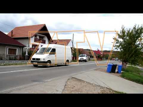 Mascatii au actionat in Criseni