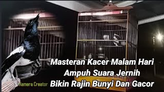 Download lagu 🇮🇩Masteran Kacer Malam Hari Ampuh Suara Jernih Bikin Rajin Bunyi Dan Gacor mp3