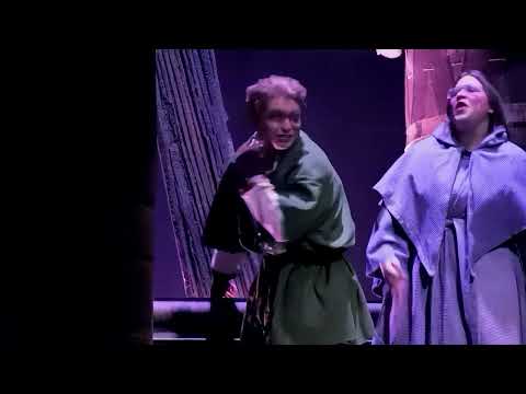 The Hunchback of Notre Dame - Musical, live show