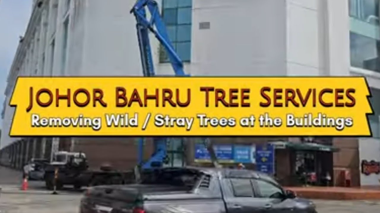 Removing Wild Stray Trees at the Buildings (Eden Garden-The Zone Stulang-Berjaya Waterfront Hotel)
