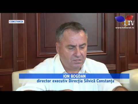 Se fură lemn și în județul Constanța - Litoral TV