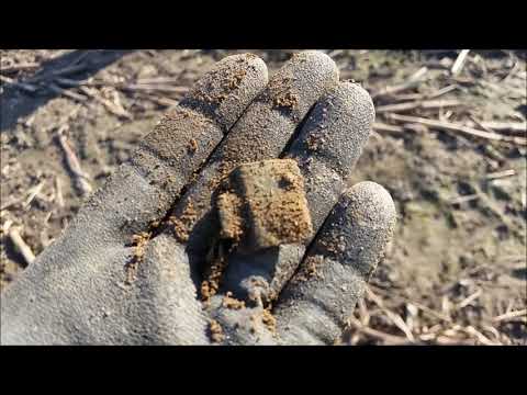 Der Bayern Sondler Teil 7 - Sondeln brachte Silber, viele Münzen, Schnallen und andere interessante