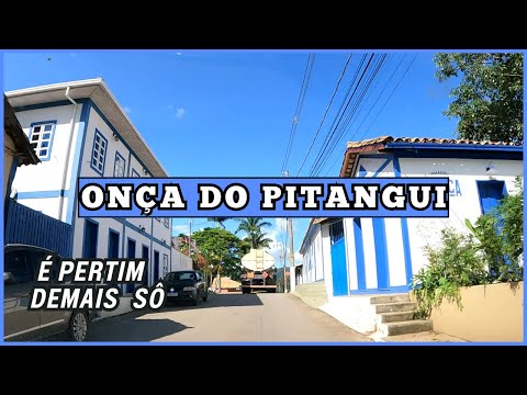 Onça do Pitangui