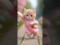 BestcartoonTV Shortvideo