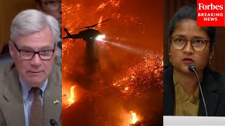Whitehouse Asks Climate Lawyer If 'Climate Change Is The Main Cause For Increasing Fire Weather?'