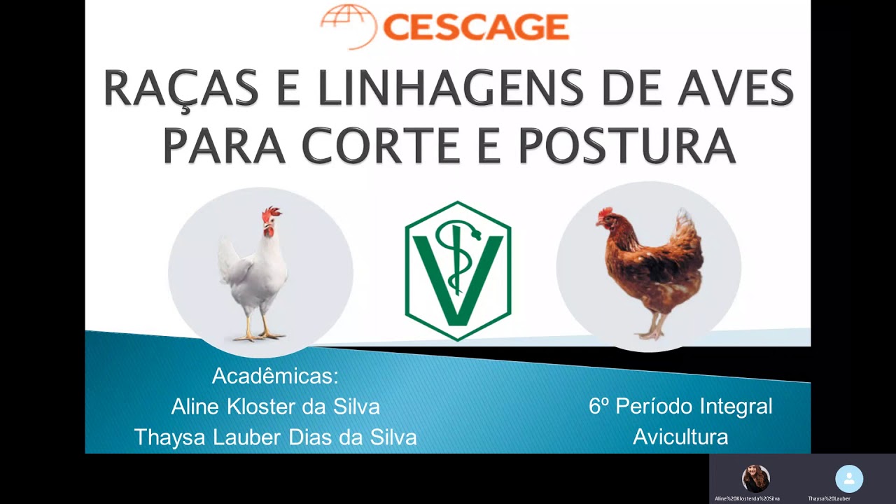 Raças e Linhagens de Aves para Corte e Postura.