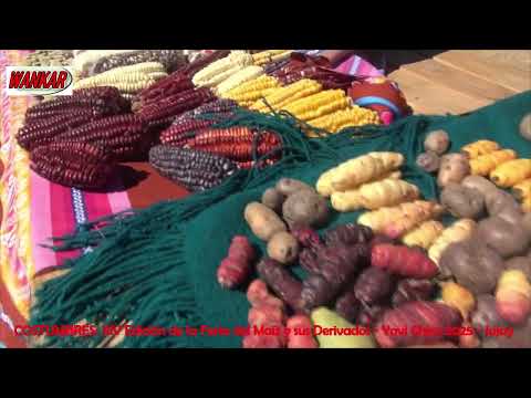 14° EDICION DEL FESTIVAL DEL MAIZ Y SUS DERIVADOS