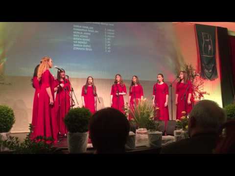 Murtilica lipo cviće - Klapa Mir