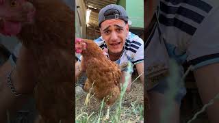 SALVO la VIDA a una GALLINA ABANDONADA en un PUEBLO!