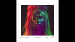 Lady Gaga- Venus (X Factor UK Studio Version)