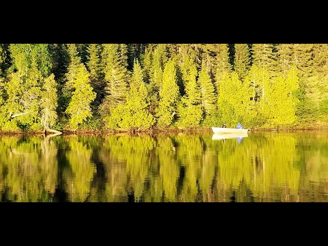 Air Ivanhoe Fly in Fishing Trip 2020