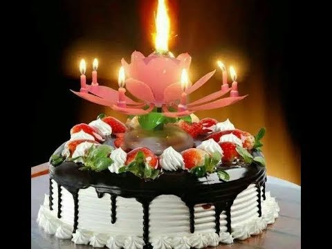 Sal bhar me sabse pyara hota hai ek din/Happy Birthday Song/ what's aap status /by juli parween