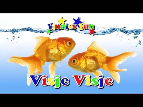 Kinderliedje: Visje, visje in het water