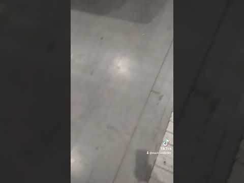 Kilka migawek z Poznań Retro Motor Show 2022