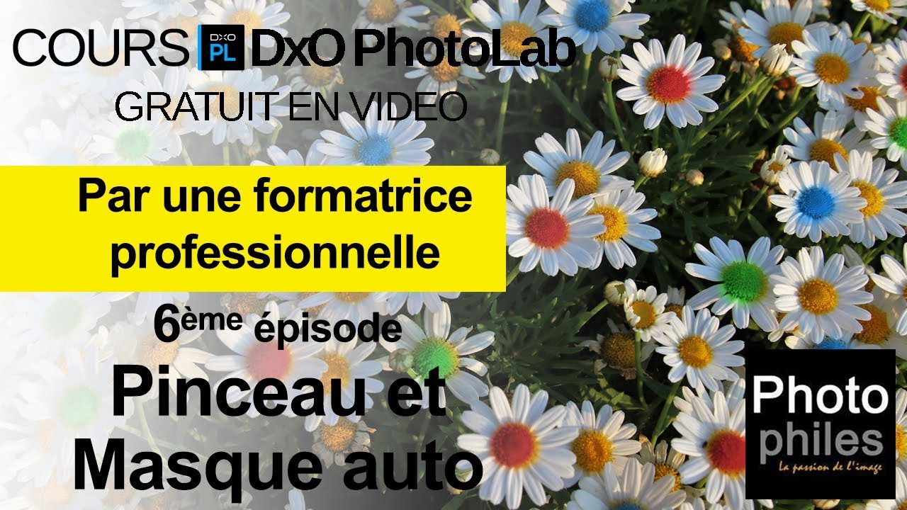 N°6 Cours DxO PhotoLab. Pinceau et masque auto
