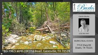 TBD-196.5 acres FM 116 Road, Gatesville, TX 76528