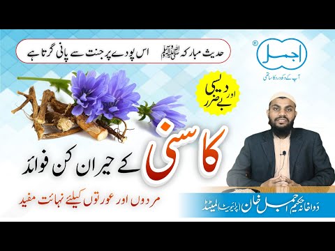 Kasni Ke Heran Kun Fayde | Chicory Benefits in urdu/hindi | Tukhme kasni ke fayde | Tibbe Nabawi