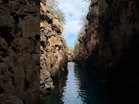 Las Grietas en Isla Santa Cruz, Galapagos
