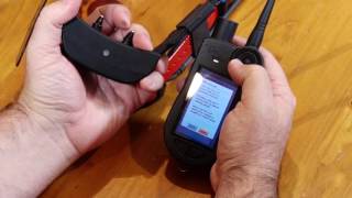 Sportdog tek 2.0 problems Clearance