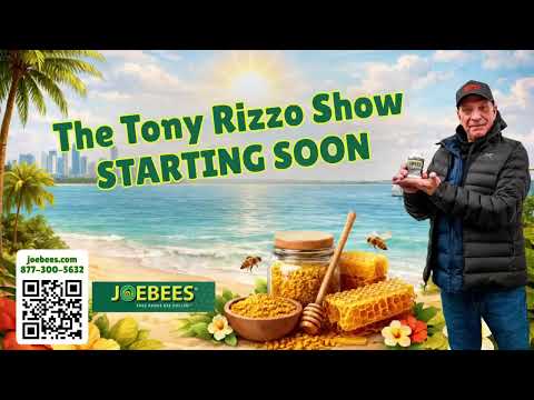 The Tony Rizzo Show - STEFANSKI STATUS + SHEDEUR WINS LAST GAME  - 1/5/2026