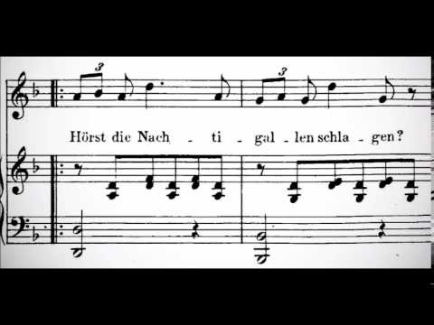 (Instrumental) Ständchen by Schubert