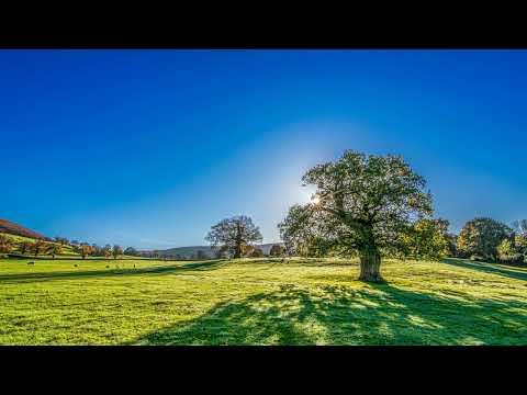 Is het wél met uw ziel (JdH 874)