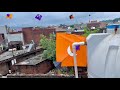 Kite Looting Kite Catching Kite