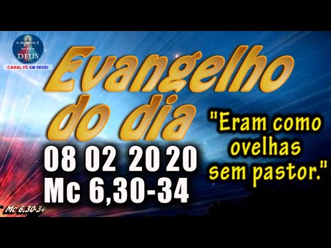 EVANGELHO DO DIA 08/02/2020, COM REFLEXÃO. Evangelho (Mc 6,30-34)