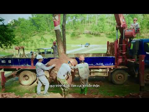 Video dự án 2