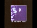 THE SISTERS OF MERCY - Never Land 