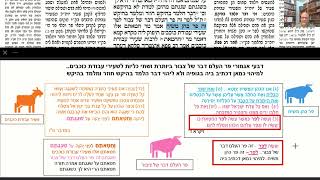 דף יומי מסכת זבחים דף מא Daf yomi Masechet Zevachim page 41  ע"י יוני גוטמן (שיעורי הדף היומי ב-20 דקות – מועבר ע"י ר' יוני גוטמן – לעילוי נשמת אביו ר' אלימלך צבי (צביקה) גוטמן ז"ל) - התמונה מוצגת ישירות מתוך אתר האינטרנט יוטיוב. זכויות היוצרים בתמונה שייכות ליוצרה. קישור קרדיט למקור התוכן נמצא בתוך דף הסרטון